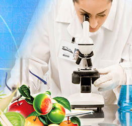 山東檢驗(yàn)檢疫局食品農(nóng)產(chǎn)品檢測中心 黨員技術(shù)服務(wù)熱線，筑牢食品安全防線